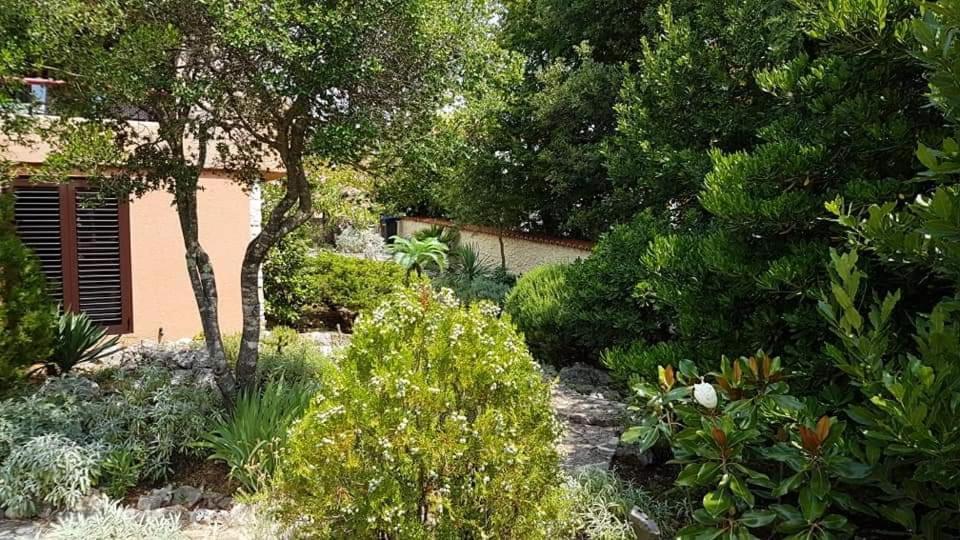 Apartments Villa Temer Pinezići Exteriör bild